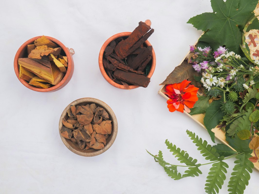 Plantas medicinales para la circulación